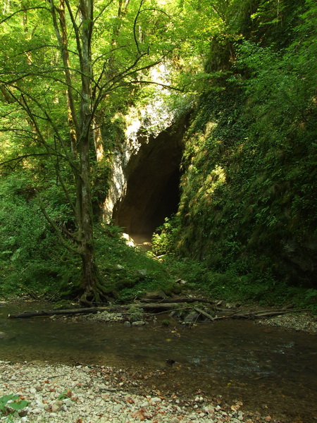 Portalul pestera Sifoanelor - Foto: Cristi Davidovici